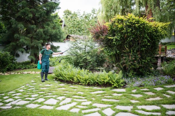 Best Affordable Pest Control Services  in Roscommon, MI