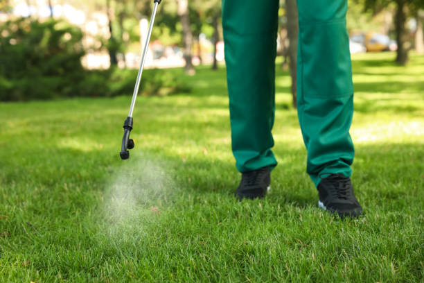 Best Pest Control Near Me in Roscommon, MI