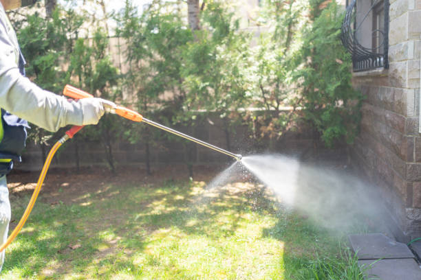 Best Bird Control  in Roscommon, MI