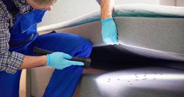 Best Emergency Pest Control  in Roscommon, MI