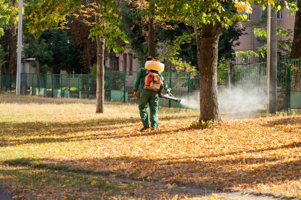 Best Spider Control Near Me  in Roscommon, MI