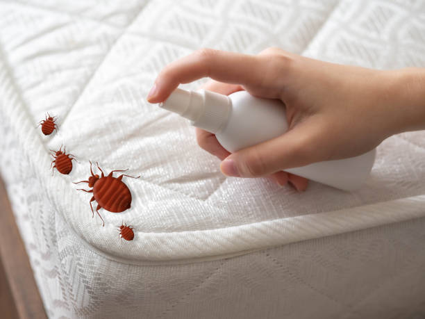 Best Affordable Pest Control Services  in Roscommon, MI