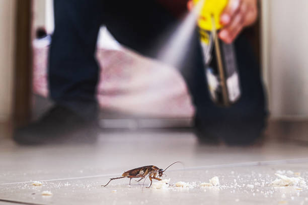 Best Pest Control Treatment  in Roscommon, MI