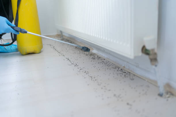 Best Mosquito Control Services  in Roscommon, MI