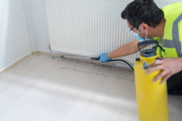 Best Residential Pest Control  in Roscommon, MI