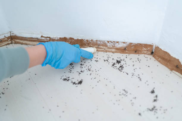 Best Pest Prevention Services  in Roscommon, MI
