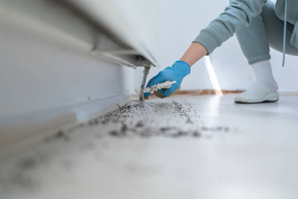 Best Local Pest Control Services  in Roscommon, MI