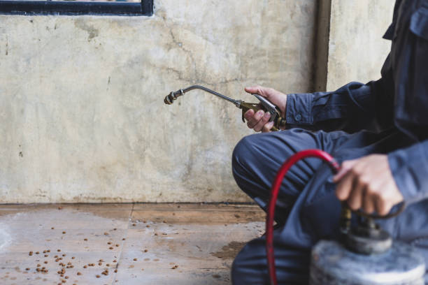 Best Exterminator Services  in Roscommon, MI